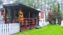 Domek nad jeziorem Lucieńskim, wolne od 11.07-19.07, 10.08-16.08