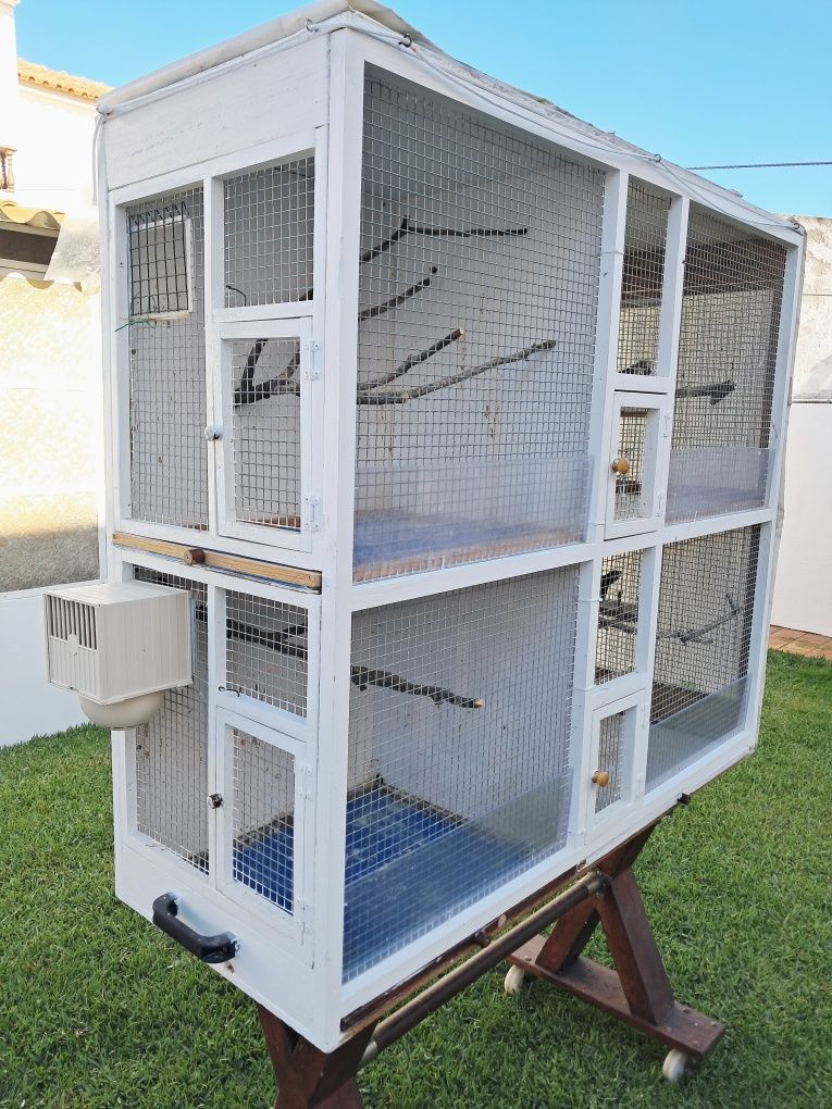 Viveiro para criação pássaros