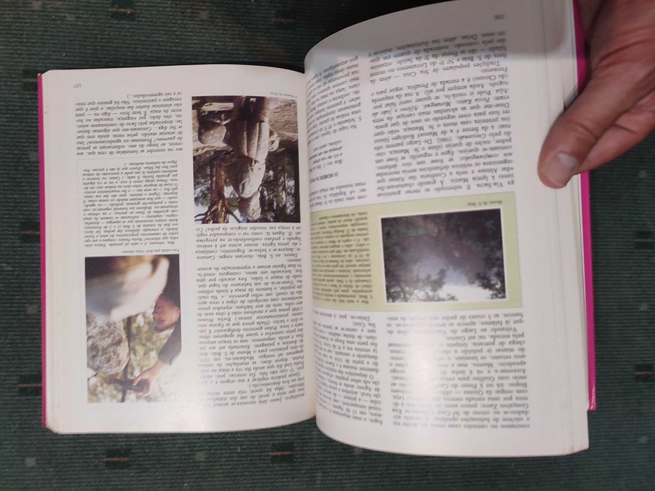 O Grande Porto - Helder Pacheco