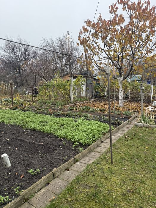 Дача з будинком в тихому місці