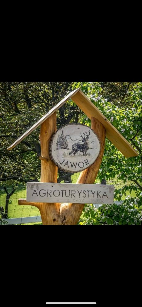 Domki Agroturystyka ,,Jawor” Wolne terminy na wakacje!