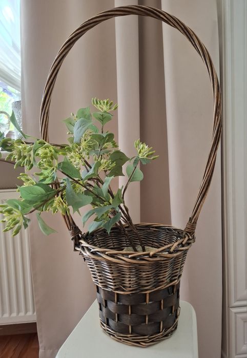 Koszyk wiklinowy oliwkowo-złoty z  rośliną