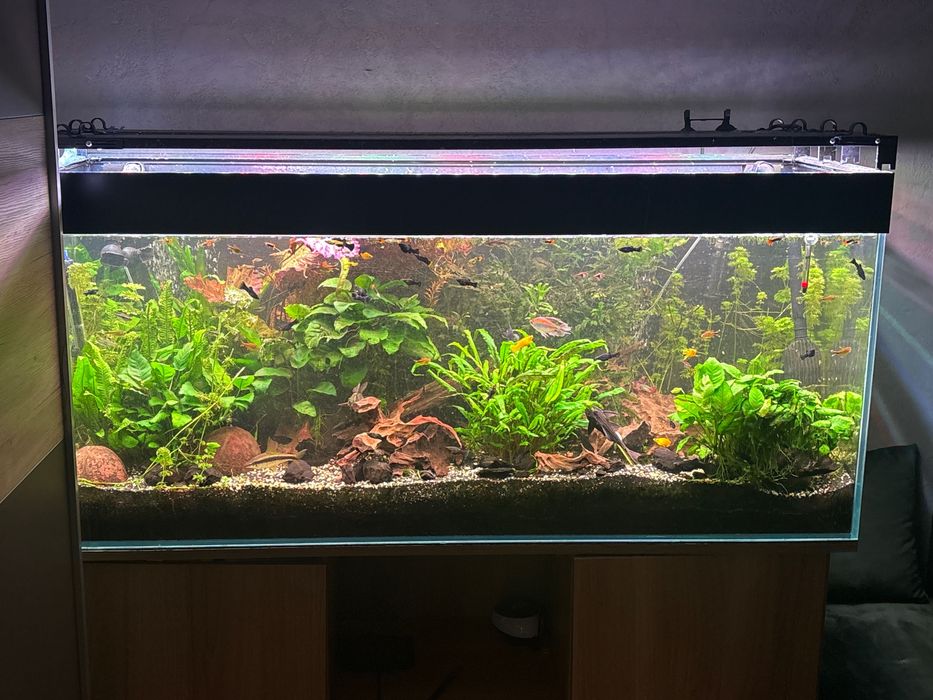 Akwarium z wyposażeniem i życiem 450 l