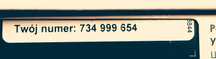 734 _ 999 _ 654 Złoty prosty ciekawy fajny numer nowy