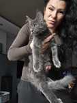 Maine Coon Felis Polonia kocurek