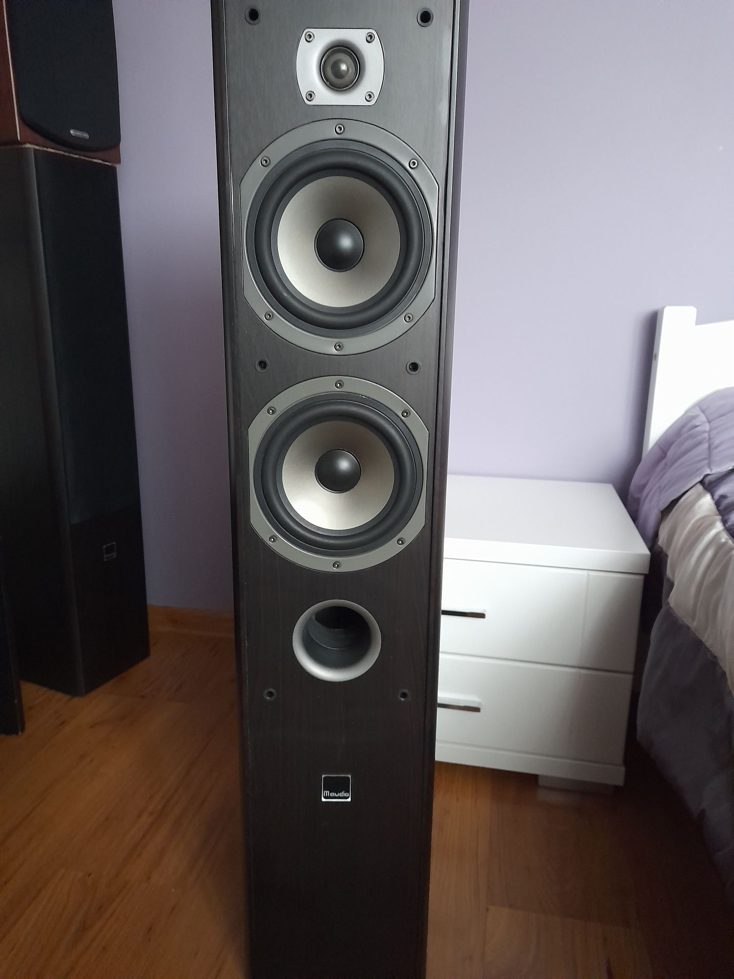 Kolumny podłogowe m audio 9950