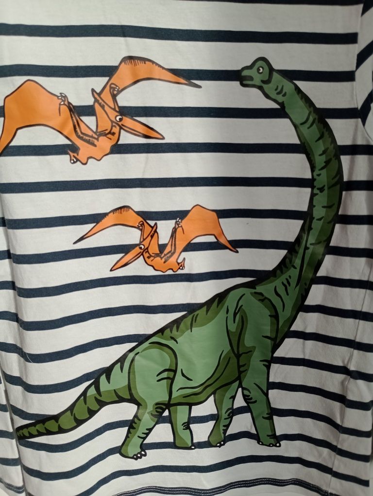 Bluzka dinozaury h&m