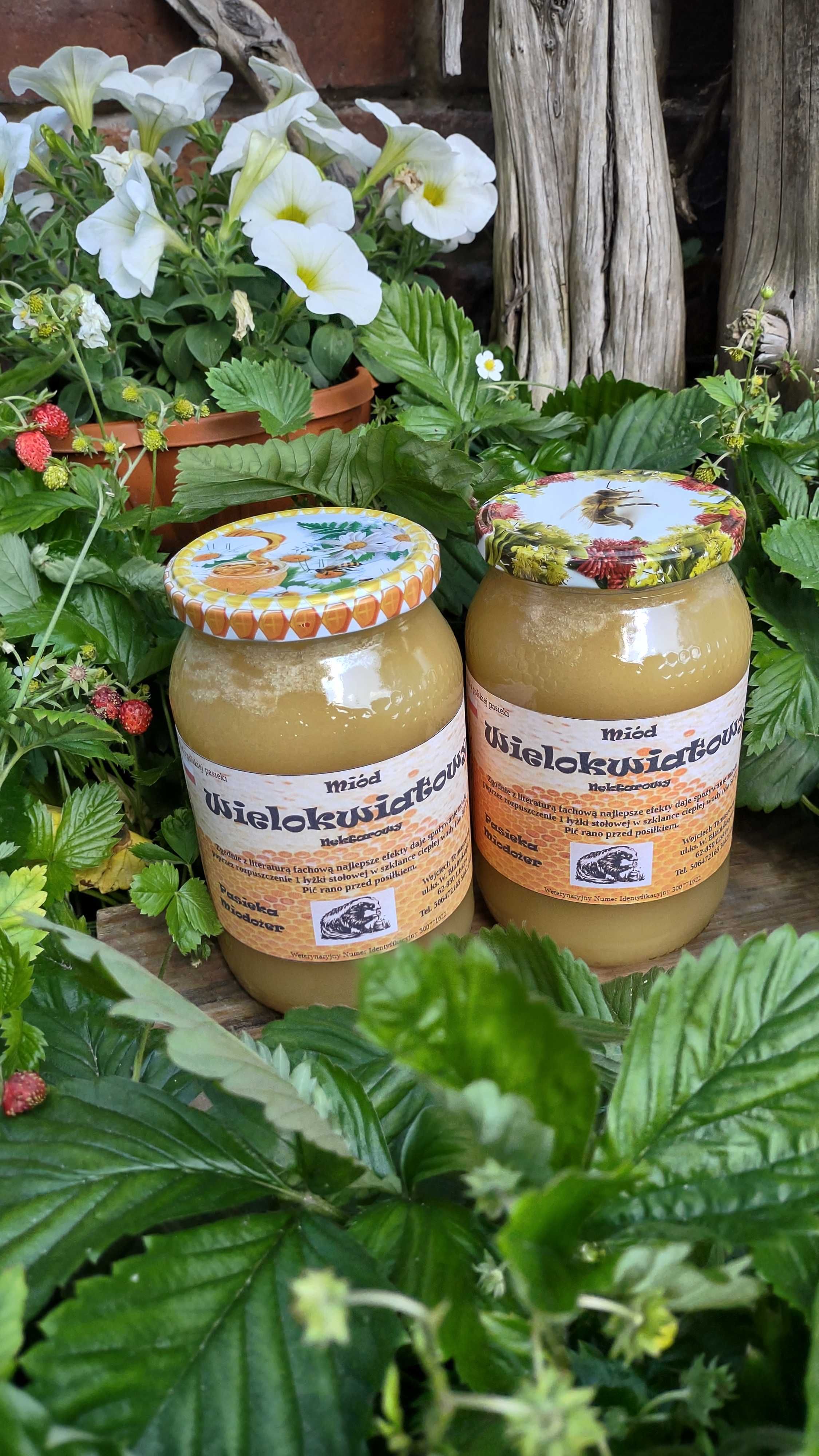 Miód wielokwiatowy | MIODOŻER | 100% Naturalny | Waga 1,2kg | Dowóz |