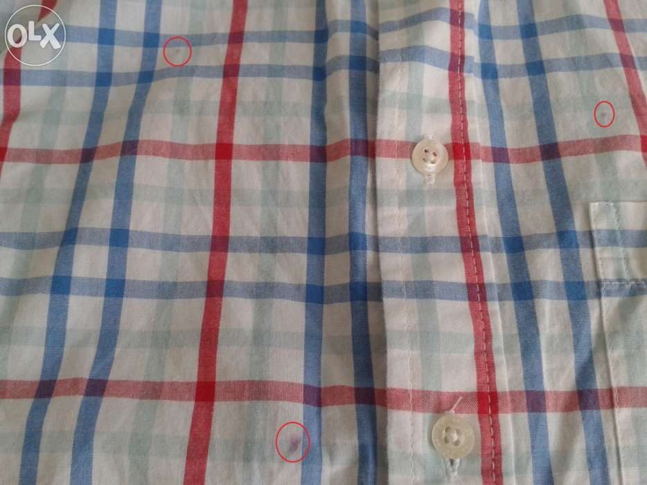 Camisa Zippy 7 / 8 Anos