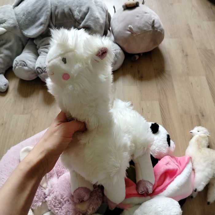 Pluszaki, duża ilość maskotek