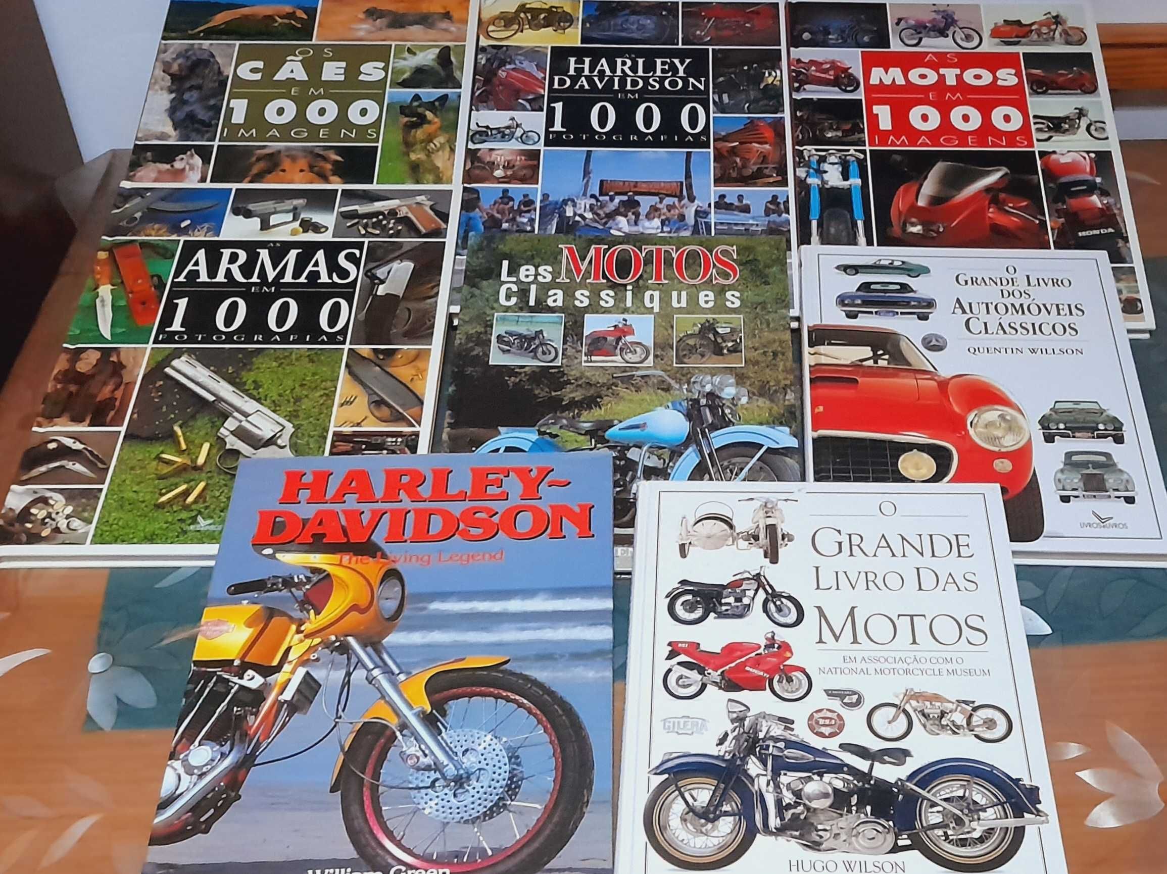 Lote de Livros técnicos