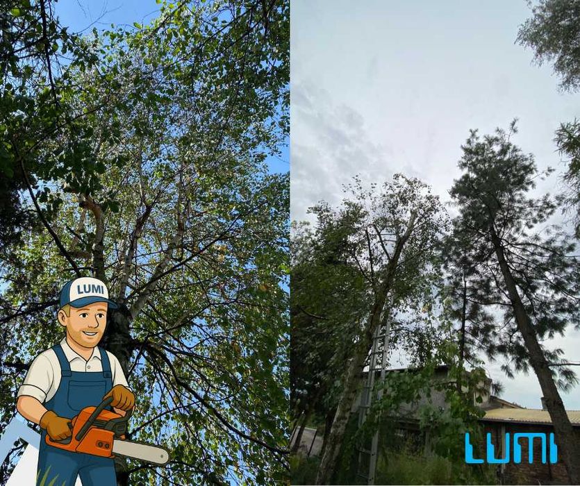 Koszenie trawy, przycinanie żywopłotów, przycinanie drzew – Śląskie