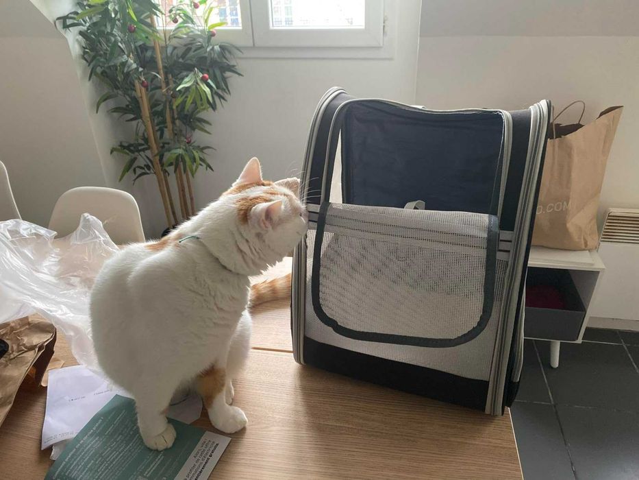 Plecak torba transportowa transporter dla psa kota zwierząt nosidełko