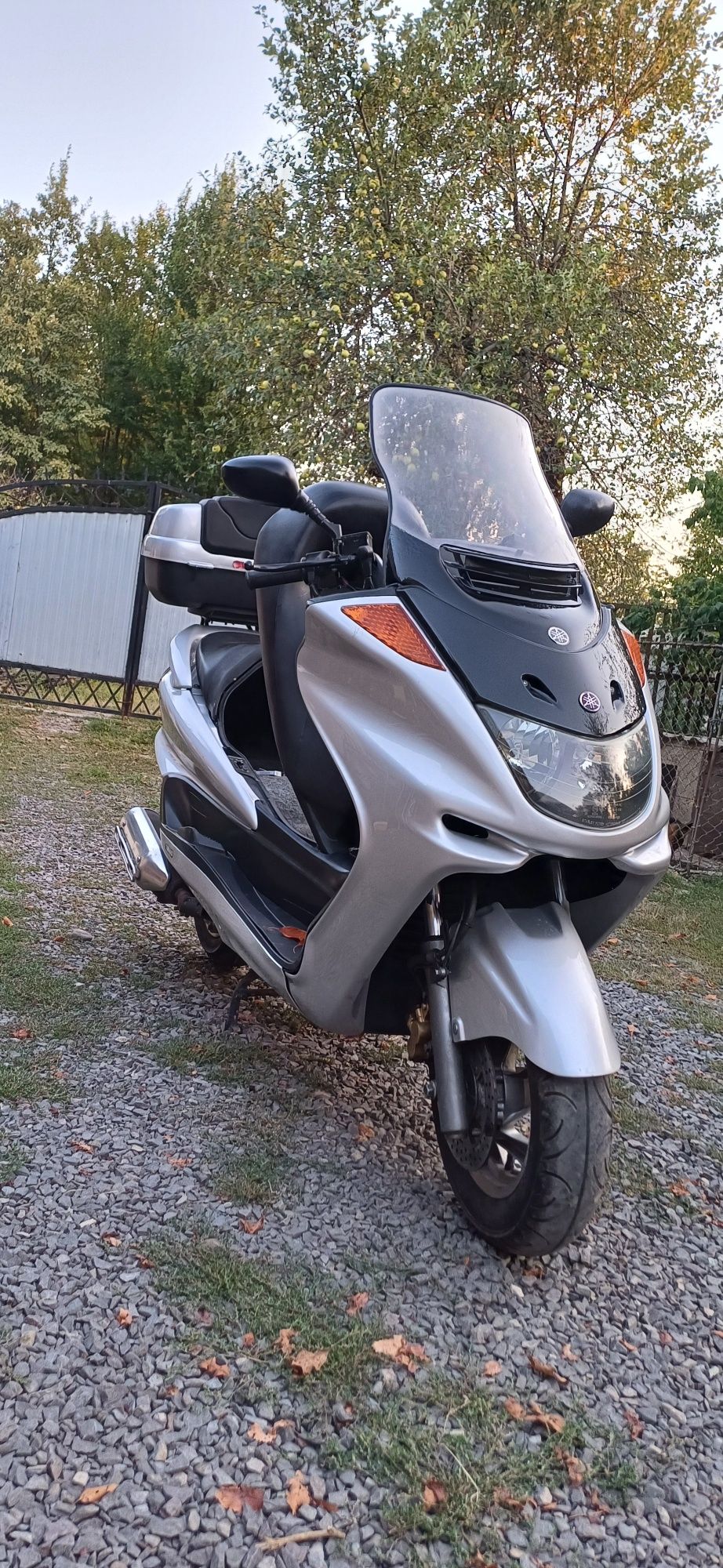 yamaha magesty 250