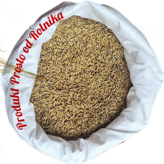 Owies pakowany 20kg worek wysyłka natychmiast Inpost