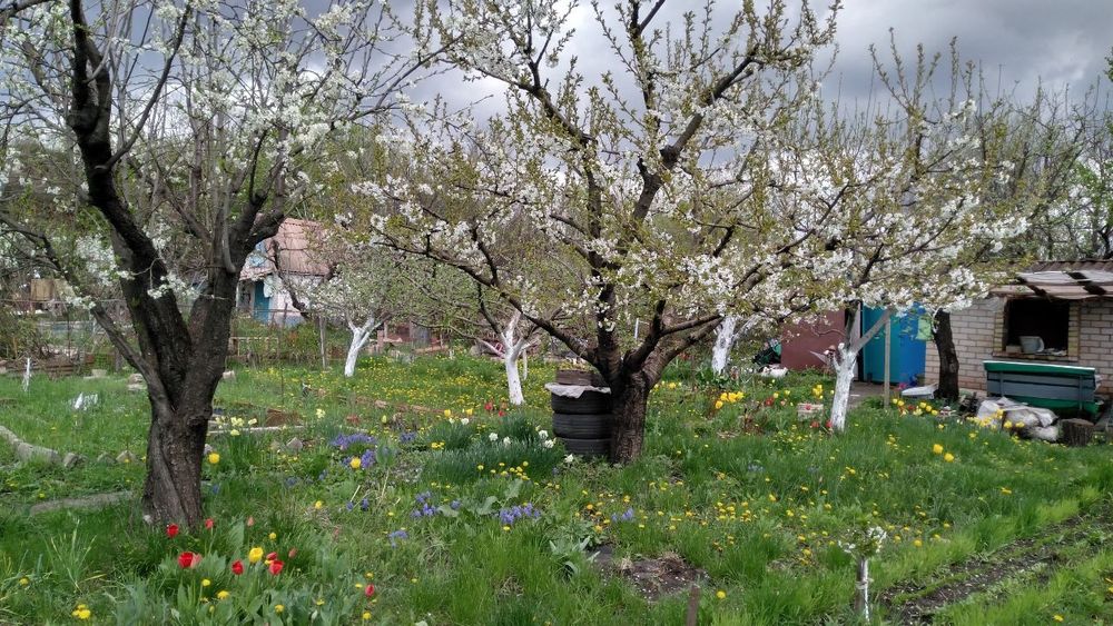 Дача с дачным участком на Шахтопроходке