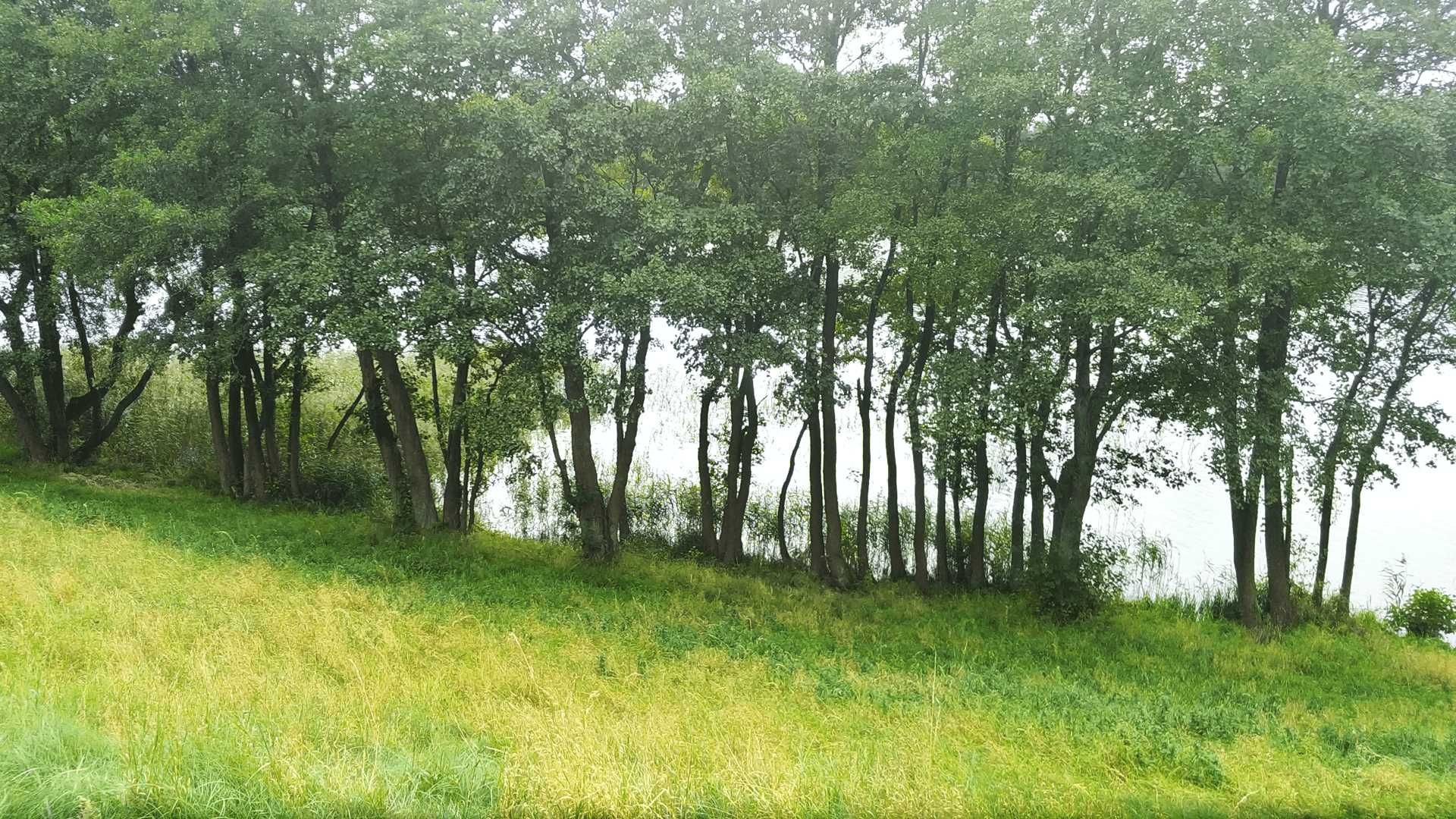 Duża działka budowlana z linią brzegową Jeziora Dołgie