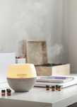 Dyfuzor Petal doterra + gratis mini olejki