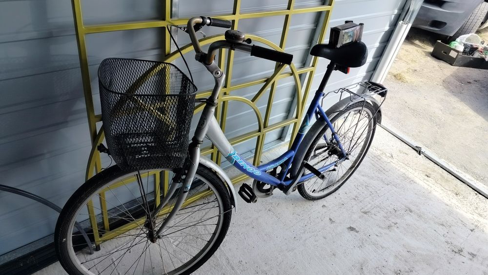 Rower damka z koszykiem