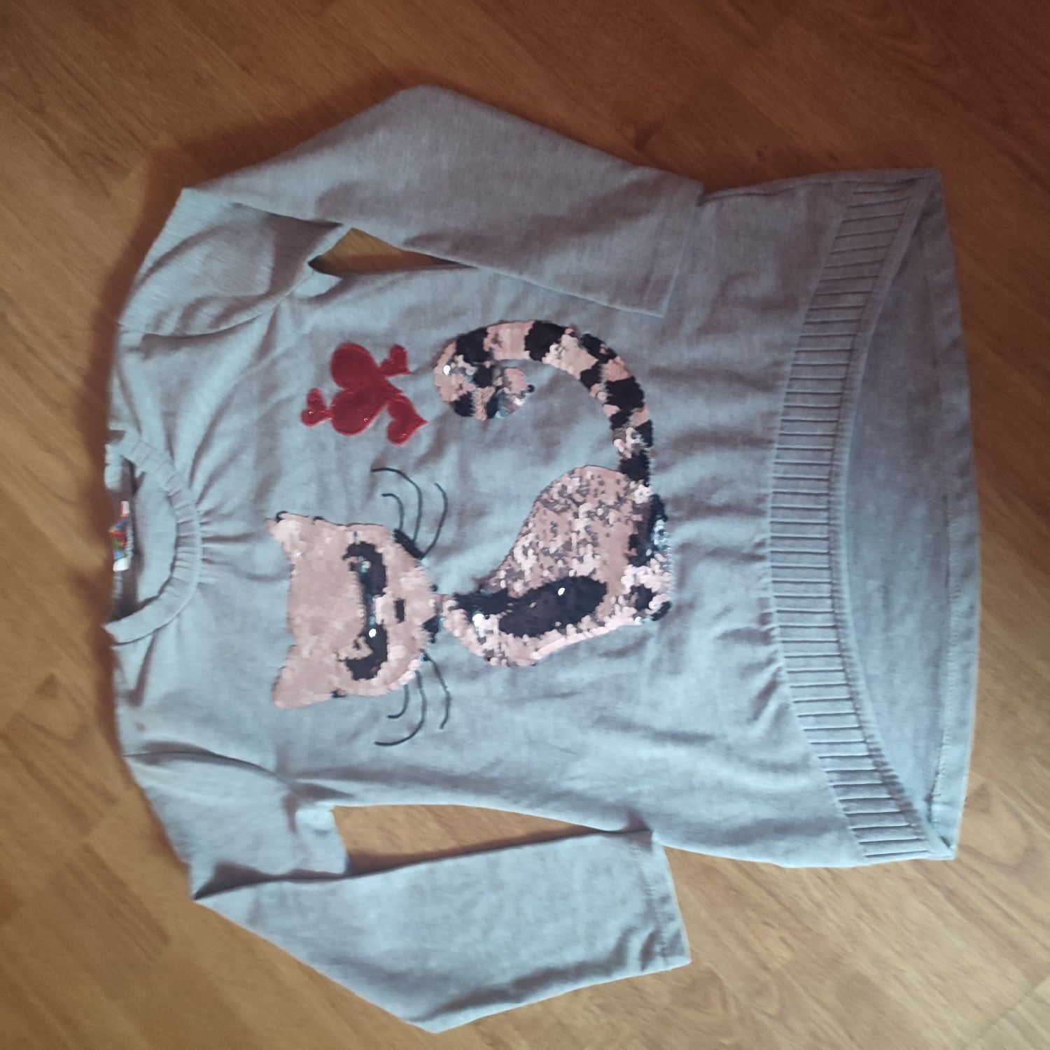 Bluza z  kotkiem cekiny