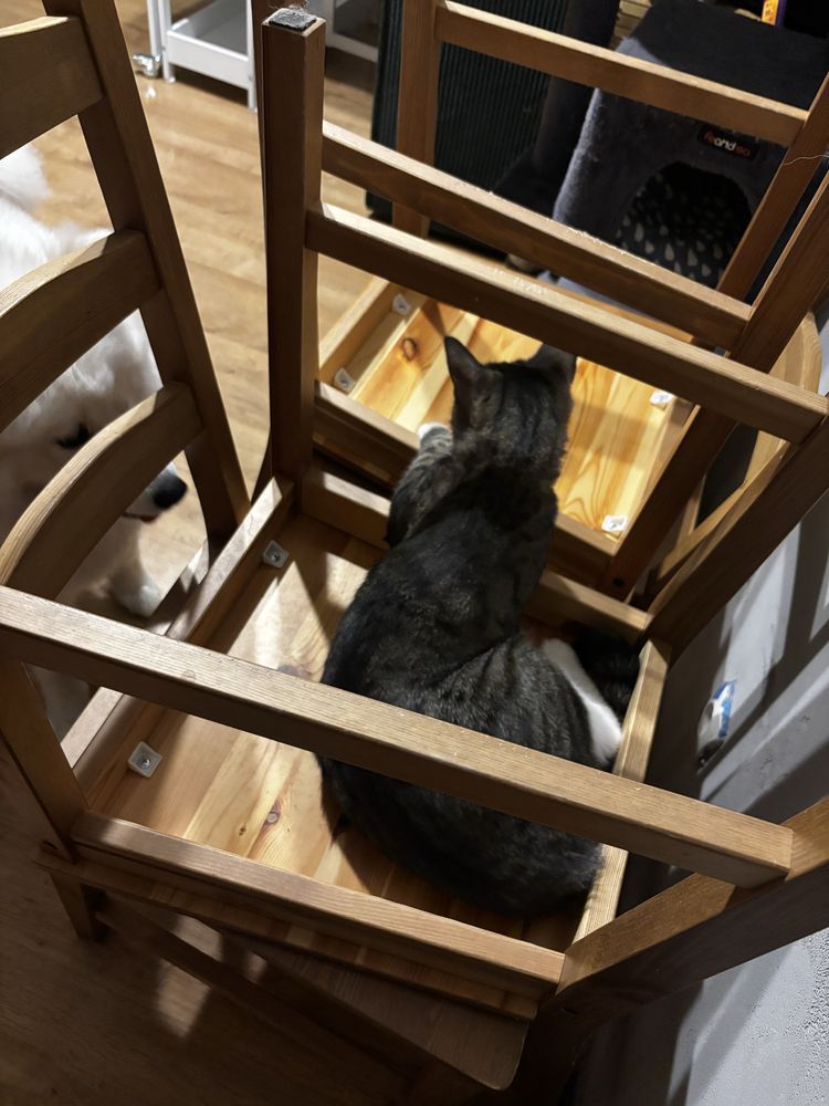 4 krzesla ikea - oddam za darmo