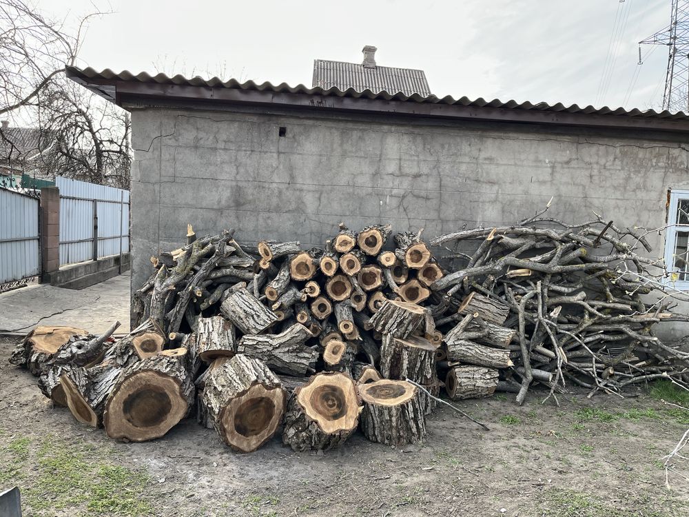 Дрова…………………………….орех