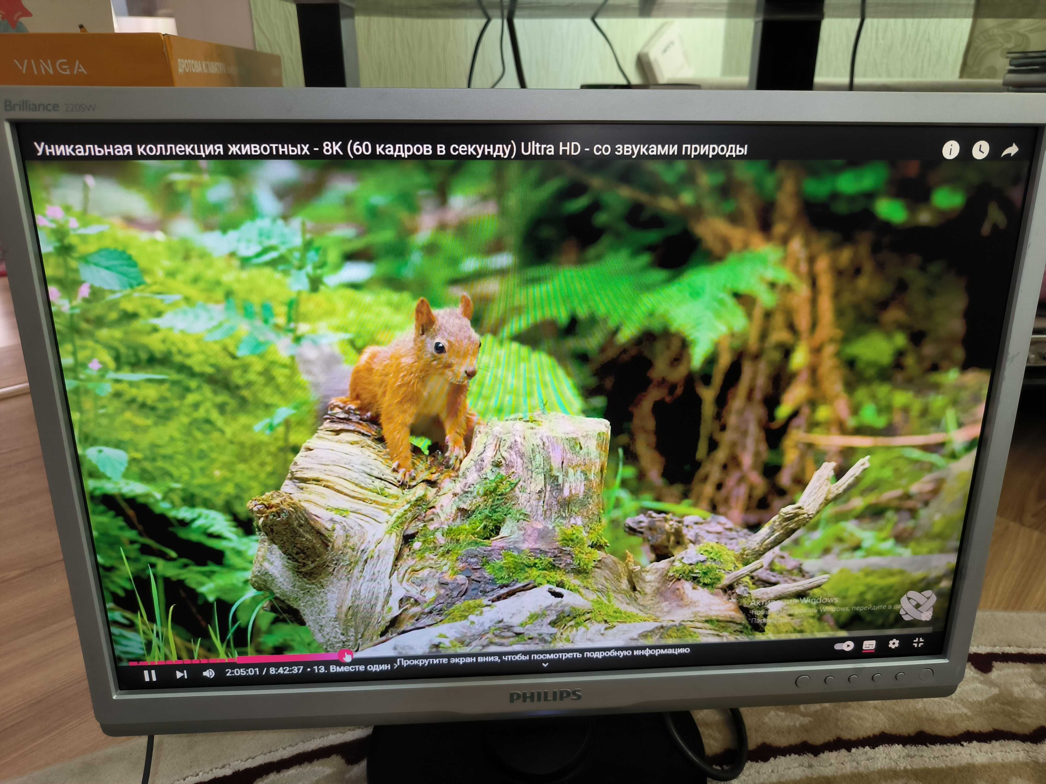Монитор PHILIPS Brilliance 22 vga dvi
