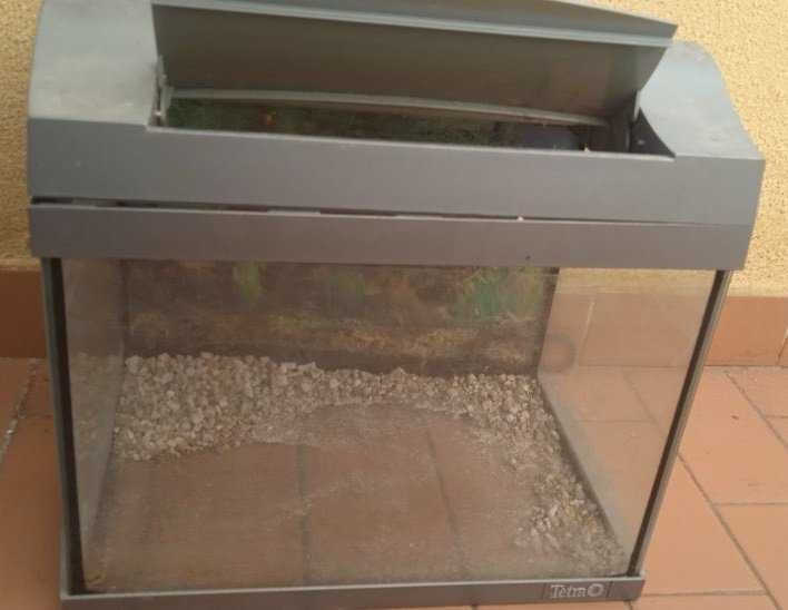 2 Aquários ,Urgente.Para Desocupar