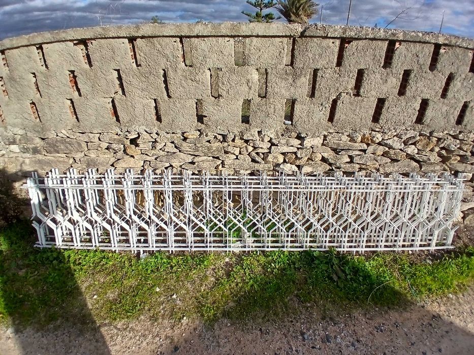 Gradeamento de ferro ornamentado