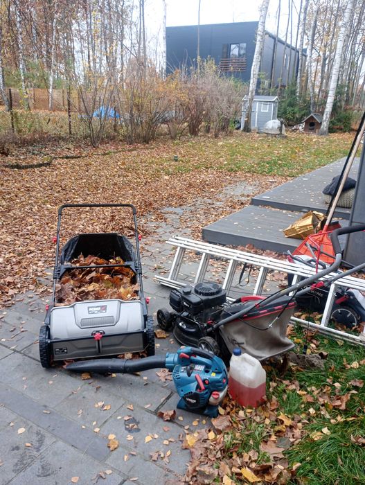 Usługi Ogrodnicze / Ogrodnik / Czyszczenie działek / Jesienne porządki