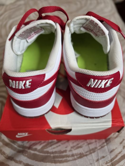 Nike Air Dunk Low Next Nature