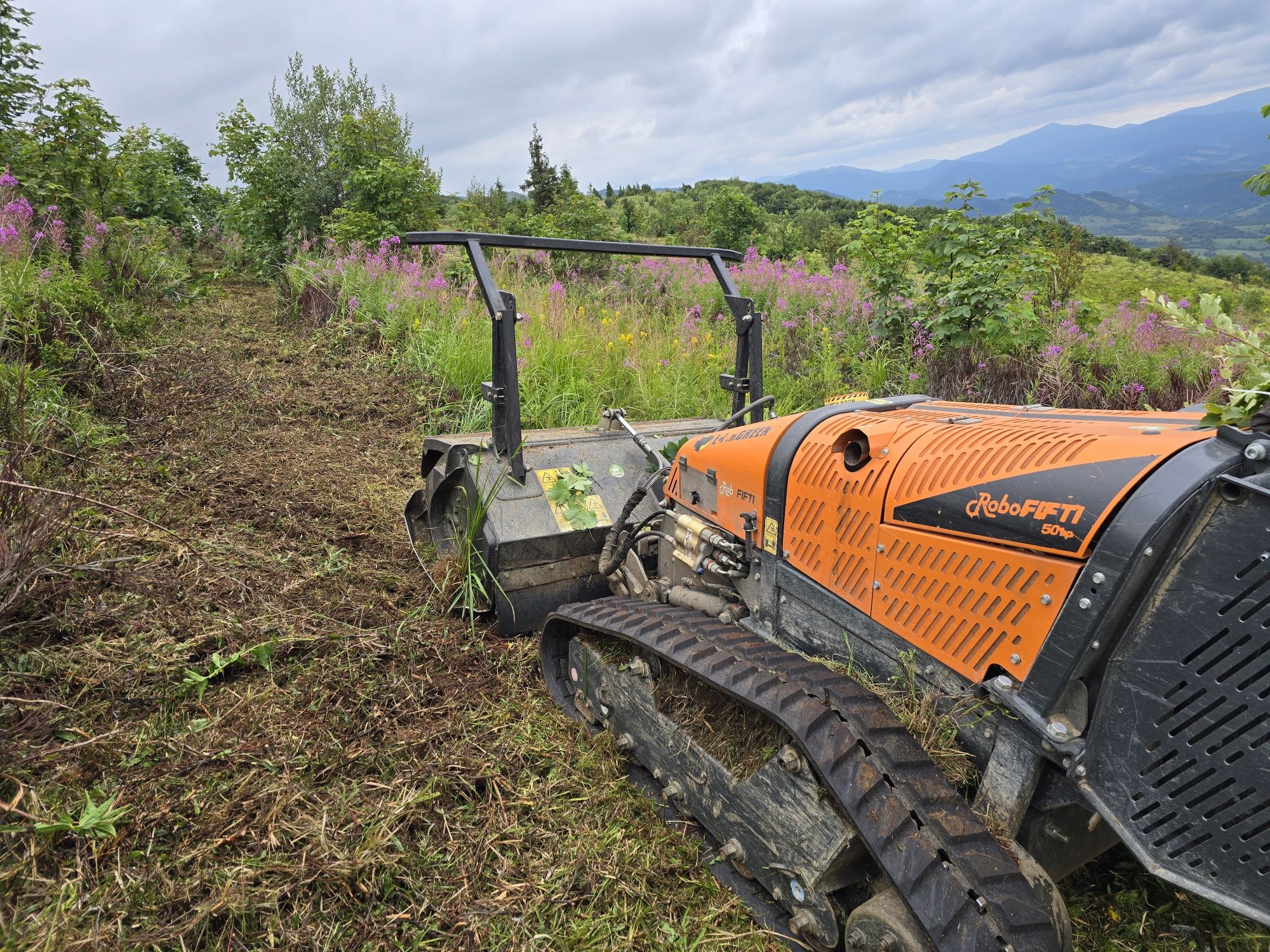 Mulczowanie, koszenie, odkrzaczanie robotem energreen
