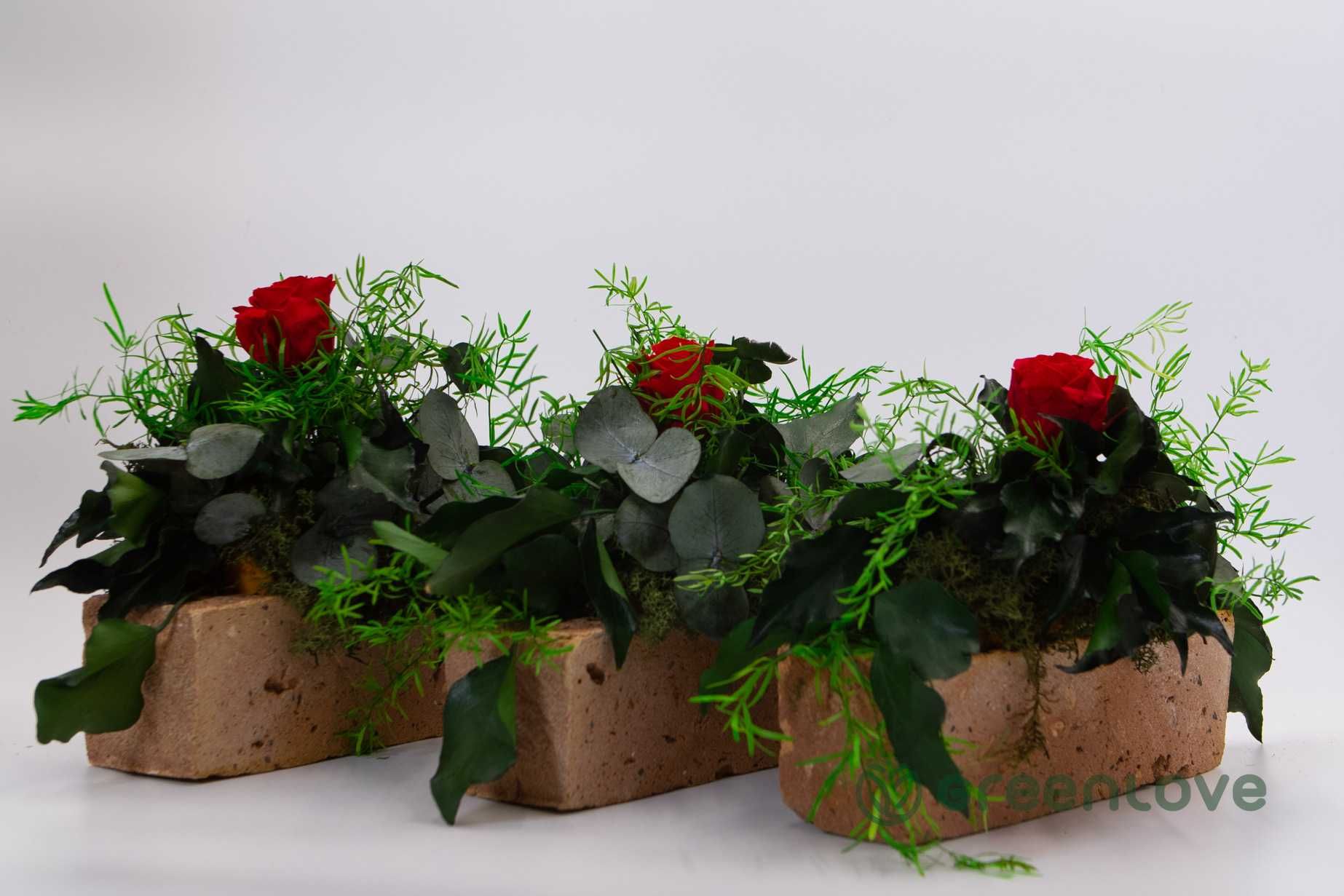 Wieczna Róża stabilizowana  - kompozycja w ceramice