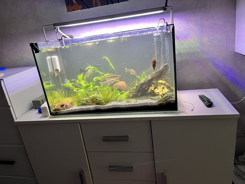 Продам свой аквариум на 80л 
Комплект