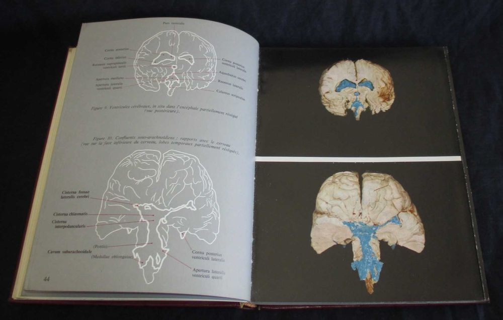 Livro Cava Vitalia G. Van Der Schueren 1959