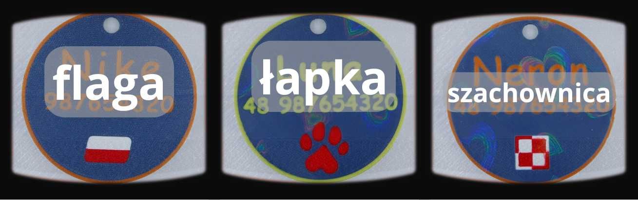 Adresówka dla psa - Border Collie - zawieszka imiennik identyfikator
