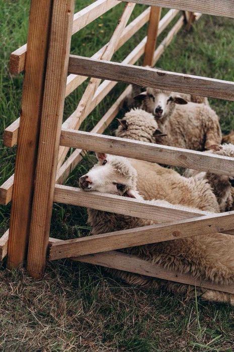 Babski Weekend w górach - relaks, kominek, balia, masaż, warsztaty