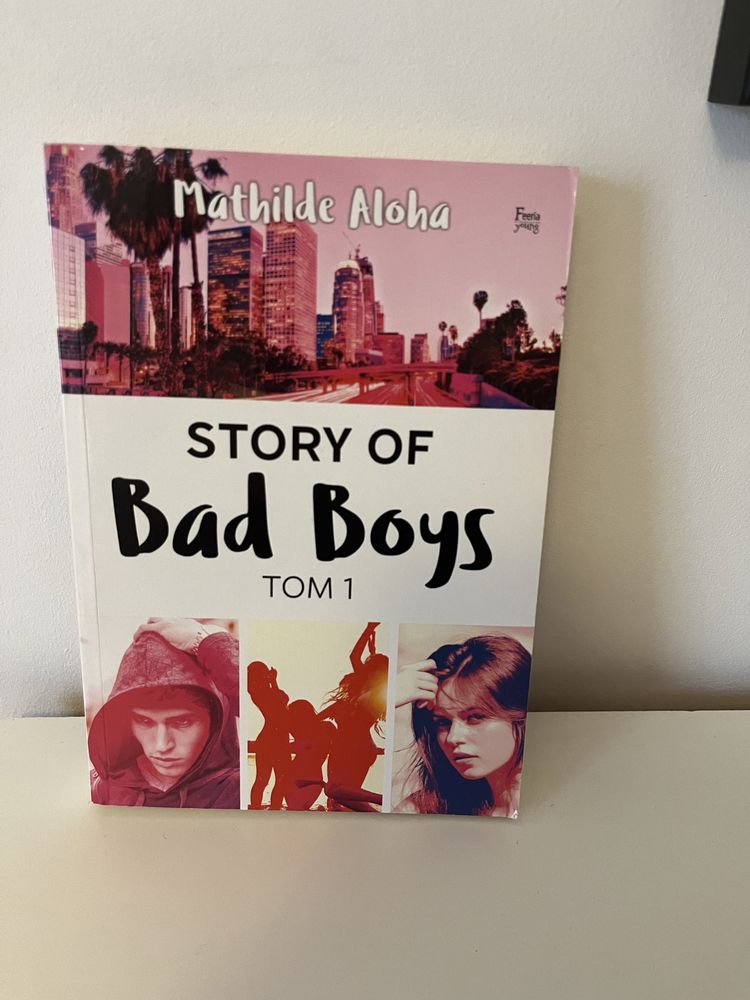 Story of bad boys tom 1