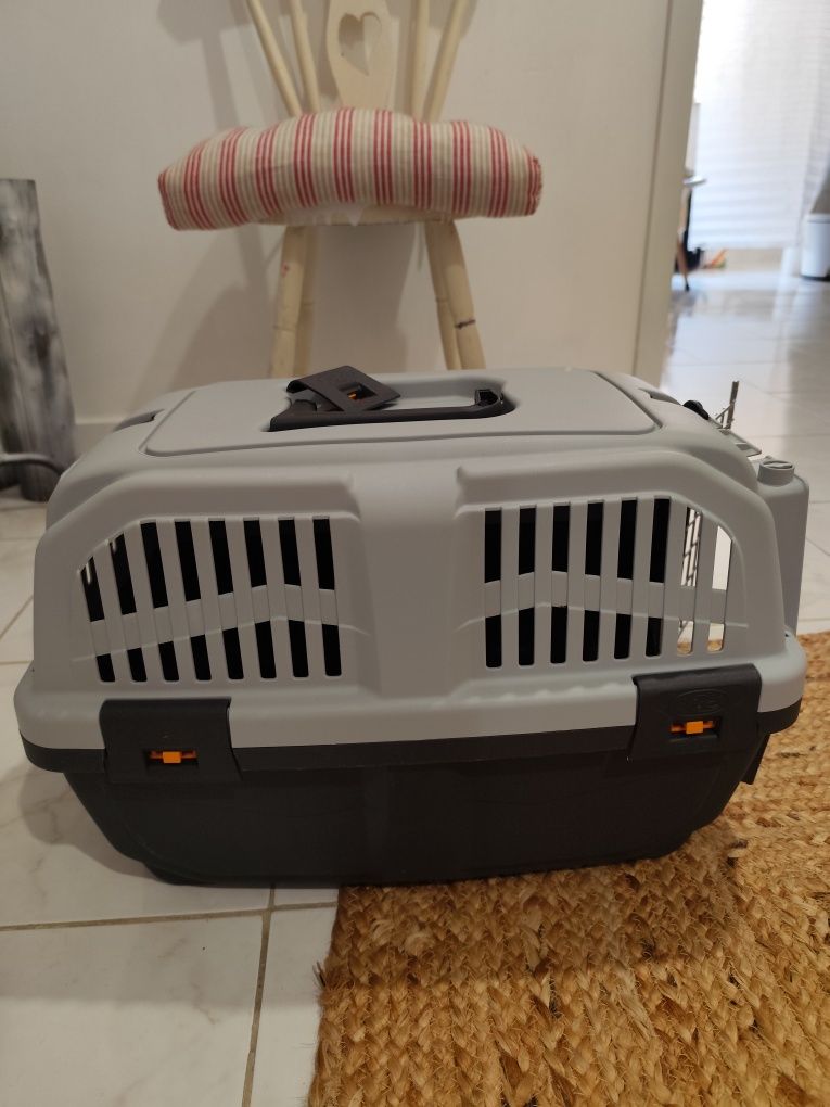 Animais | Conjunto de acessórios para gato