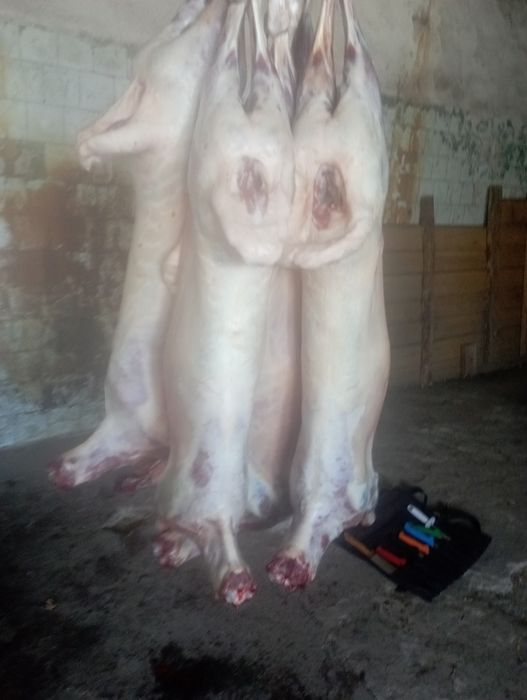 Бараніна,бараны, ягнятина, баранина