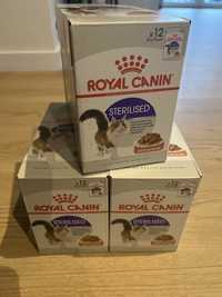 Saszetki Royal Canin 12x85g Sterilised