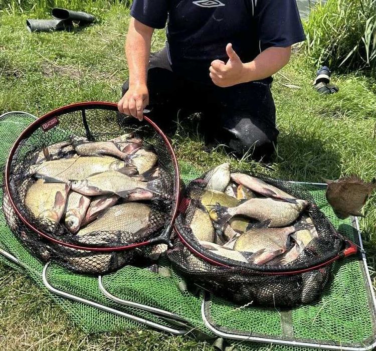 Ziemia torfowa "bełchatowska" 1,5kg na ryby, wędkarstwo