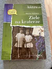 Ziele na kraterze