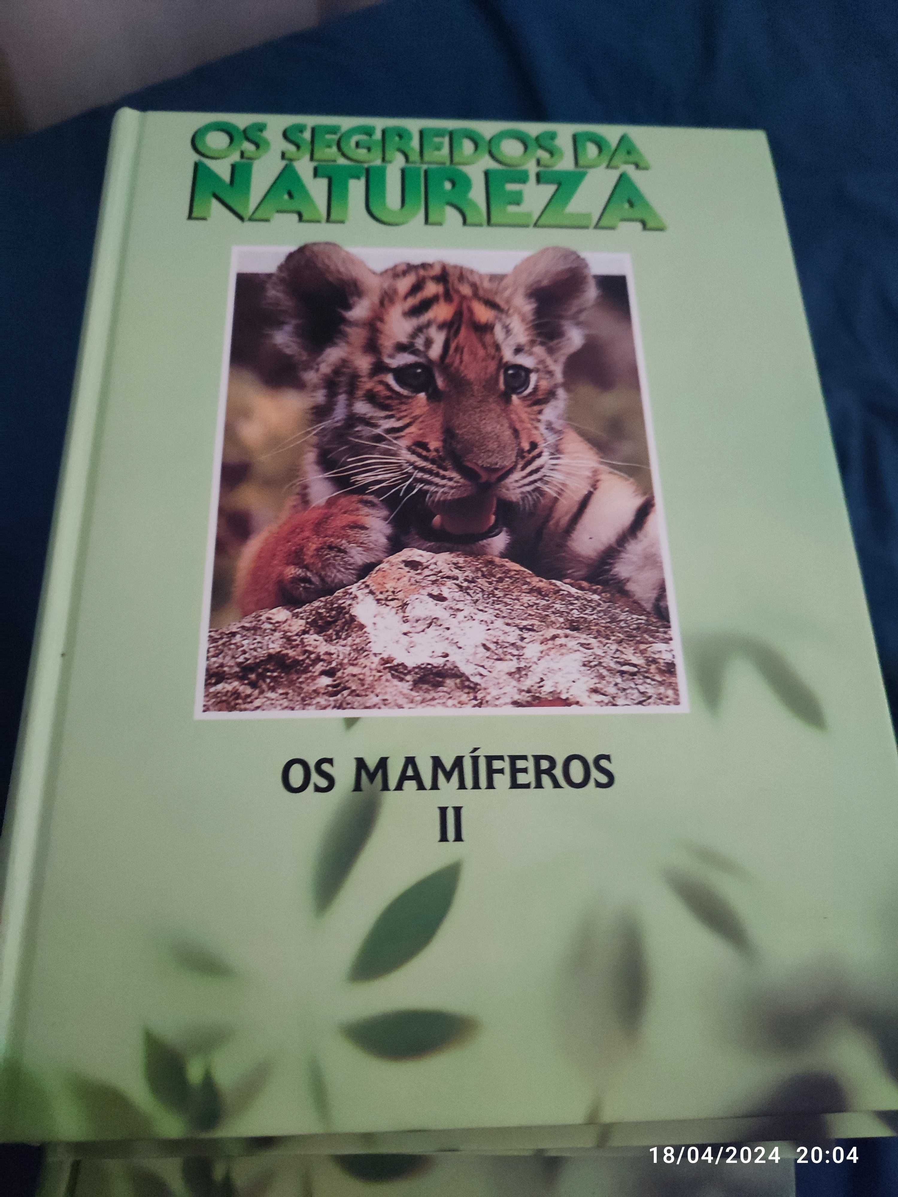 Os segredos da natureza