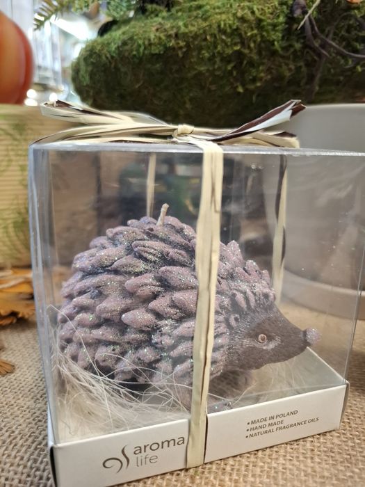 Jeżyk świeczka aroma life