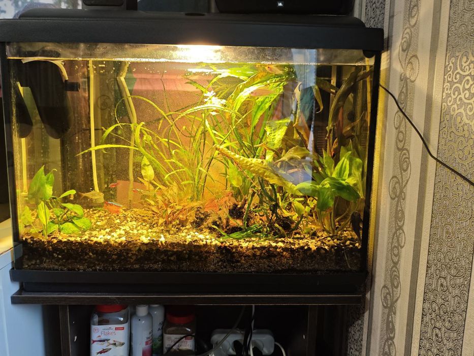 Терміново продам акваріум на 70л