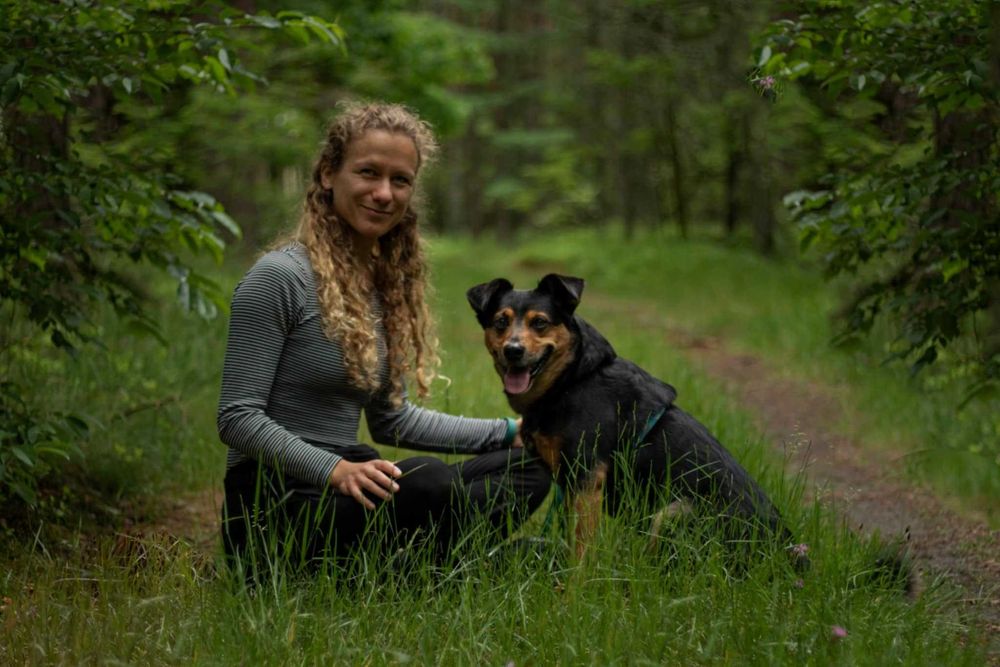 Bezpłatny trening i konsultacja behawioralna Twojego psa – Kraków