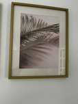 Quadros decorativos 50x70