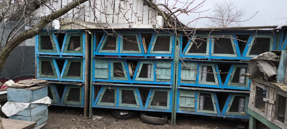 Продам клітки для кролів