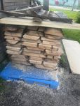 Dąb czerwony 6cm dlugosc 200cm wysokość 110